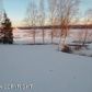 1015 N Beaver Lake Road, Big Lake, AK 99652 ID:11400429