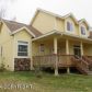 2850 E Tamarak Avenue, Wasilla, AK 99654 ID:11437072