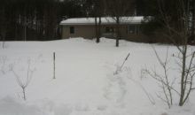 11200 200th Ave Leroy, MI 49655