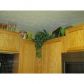 161 Ilex Drive, Canton, GA 30114 ID:11404162