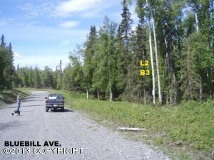 17635 W Bluebill Avenue, Wasilla, AK 99654