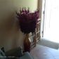 331 E Mcnab Rd # 224, Pompano Beach, FL 33060 ID:11476229