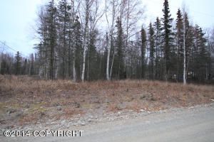 7445 N King Cove Drive, Wasilla, AK 99654