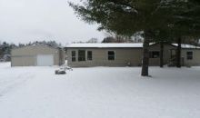 8314 River Rd Evart, MI 49631