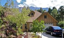 9419 Mill Drive Forest Falls, CA 92339