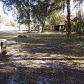 8279 SE 11th Ave, Starke, FL 32091 ID:11585861