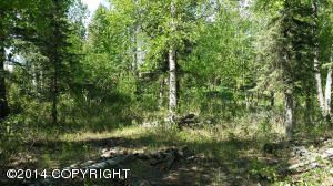 1531 N Williwaw Way, Wasilla, AK 99654