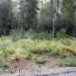 7888 W Trenton Circle, Wasilla, AK 99654 ID:11594882