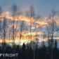 8906 S Gala Drive, Wasilla, AK 99654 ID:11493930