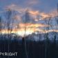 8906 S Gala Drive, Wasilla, AK 99654 ID:11493932