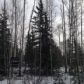 289 N O'Daniel Road, Wasilla, AK 99654 ID:11594831