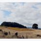 Hileman RD 1, Marcola, OR 97454 ID:11494628