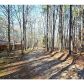 5650 Lanny Drive, Powder Springs, GA 30127 ID:11662096