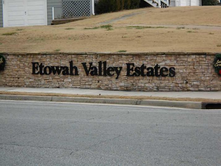 312 Etowah Valley Trace, Woodstock, GA 30189