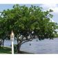 13864 NW 22ND STREET, Fort Lauderdale, FL 33323 ID:11645699