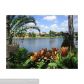 982 SW 159TH DR, Hollywood, FL 33027 ID:11697437