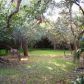 13100 SW 77 AV, Miami, FL 33156 ID:11710043