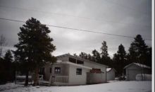 715 Royal Dr Bailey, CO 80421