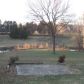 941 Josepi Dr, Knoxville, TN 37918 ID:11740246