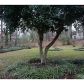 4243 Britt Road, Tucker, GA 30084 ID:11636182