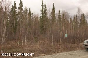 10891 W Backus Drive, Wasilla, AK 99654