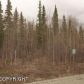 10891 W Backus Drive, Wasilla, AK 99654 ID:11525757