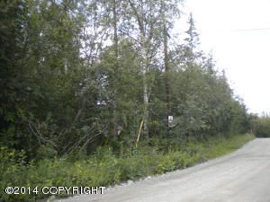 2740 S Rue De La Paix Loop, Wasilla, AK 99654