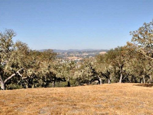 1520 Bunkhouse Court, Templeton, CA 93465