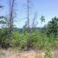 00 Ridge Road, Eidson, TN 37731 ID:11741578