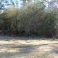 6893 G And H Rd, Mc Calla, AL 35111 ID:11772509