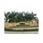 1411 SE 24 CT # 269, Homestead, FL 33035 ID:11568087