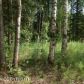 9970 W Stanley Drive, Wasilla, AK 99654 ID:11525750