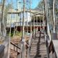 118 Broadwater Court, Waleska, GA 30183 ID:11824636