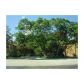 4411 Treehouse Ln # D, Fort Lauderdale, FL 33319 ID:10544327