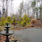 319 Pine Trail, Dahlonega, GA 30533 ID:11720947