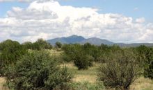 206e Bixler Trail Ash Fork, AZ 86320