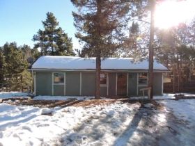 985 Blossom Rd, Woodland Park, CO 80863