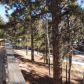 985 Blossom Rd, Woodland Park, CO 80863 ID:11847887