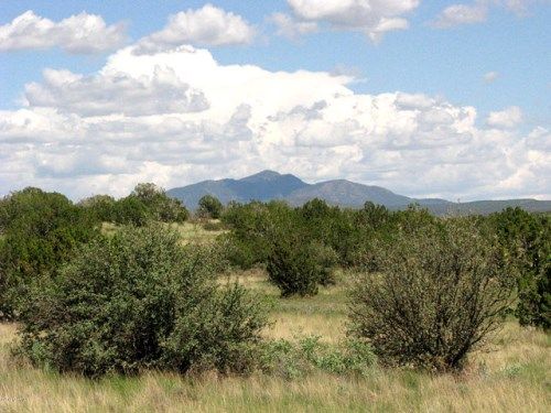 206e Bixler Trail, Ash Fork, AZ 86320