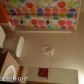 2901 W Telequana Drive, Wasilla, AK 99654 ID:11726886