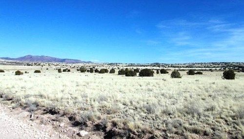 133 Off Of Williamson Valley Road, Seligman, AZ 86337