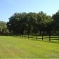 CR 245E, Oxford, FL 34484 ID:11851725