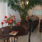 240 COLLINS AVE # 6C, Miami Beach, FL 33139 ID:11743602