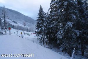 L9 Verbier Way, Girdwood, AK 99587