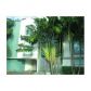 828 3 ST # 314, Miami Beach, FL 33139 ID:11833985