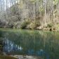 218 River Drive, Dahlonega, GA 30533 ID:11901735