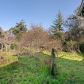 20 Hamlet St, Port Orford, OR 97465 ID:11808080