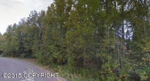 12086 W Looking Glass Drive, Big Lake, AK 99652