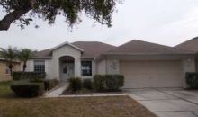 19145 Cherry Rose Lutz, FL 33558