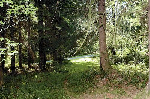 11-Lot 11 Skinner Rd, Granite Falls, WA 98252